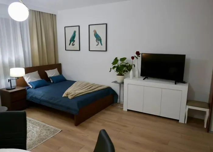 Studio Nr 1 Close To Medicover And Paley Institute